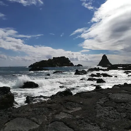 דירה The Yellow House