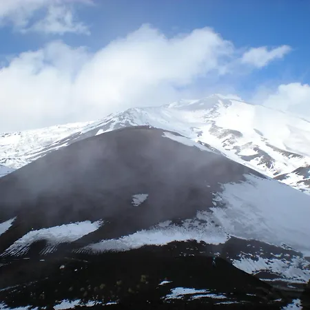 דירה The Yellow House *